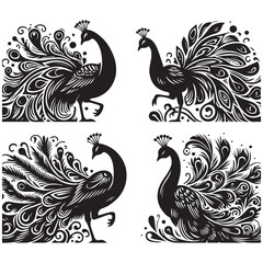 Naklejka premium create peacock bird Silhouette with white background