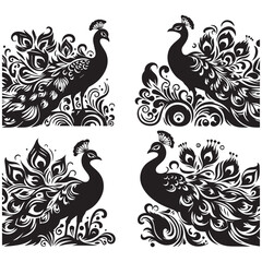 create peacock bird Silhouette with white background