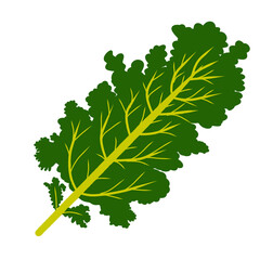 Green leaf illustration 