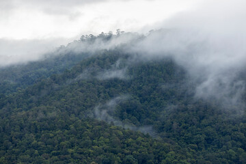 Landscape of Morning Mist with Mountain Layer. mountain ridge and clouds in rural jungle bush forest