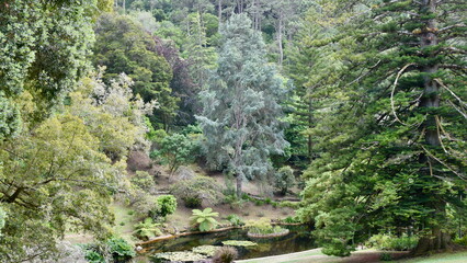 Forest and Pond at Monserrate Villa, Sintra, Portugal