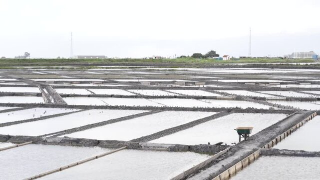 Close up view of a salt farm (salinas) in Ria de Aveiro, farm full of water waiting for the evaporation process.Edges of the salinas full of small birds, a wheel barrel for the transportation of salt.