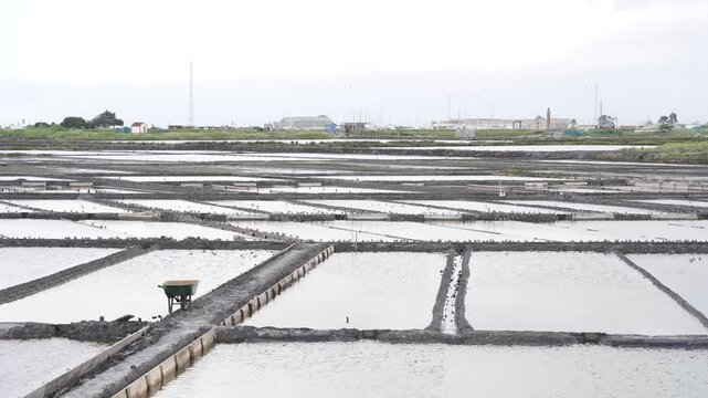 Close up view of a salt farm (salinas) in Ria de Aveiro, farm full of water waiting for the evaporation process. Wheel barrel for salt transportation. Edges of the salinas full of small birds.