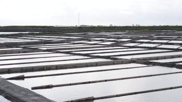 Close up view of a salt farm (salinas) in Ria de Aveiro, farm full of water waiting for the evaporation process. Cloudy sky in the background . Edges of the salinas full of small birds. Steady camera.