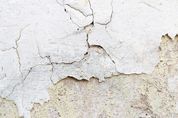 Light Gray Stucco Wall Texture. Abstract Background