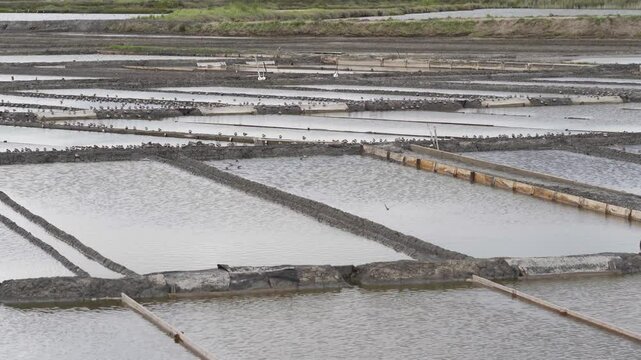 Close up view of a salt farm (salinas) in Ria de Aveiro, farm full of water waiting for the evaporation process. Windy day creating some movement on the water. Edges of the salinas full of small birds