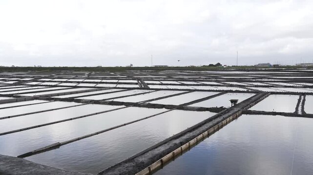 Close up view of a salt farm (salinas) in Ria de Aveiro, farm full of water waiting for the evaporation process. Windy day creating some movement on the water. Edges of the salinas full of small birds