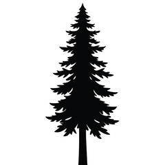 Tall Pine Tree Isolated Silhouette Minimalist Vector