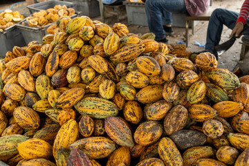 Cocoa beans and cocoa pod on a wooden surface.