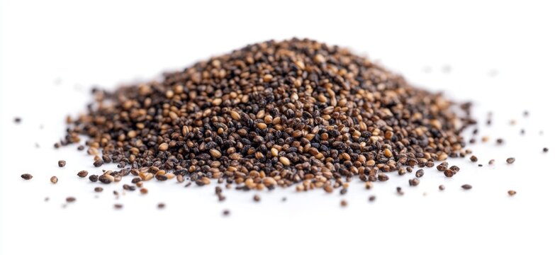 Dark & Light Seeds