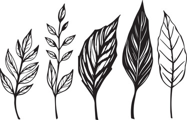Set of leaves, flat silhouette. Hand drawn vector illustration