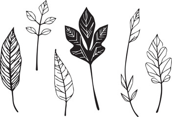 Set of leaves, flat silhouette. Hand drawn vector illustration