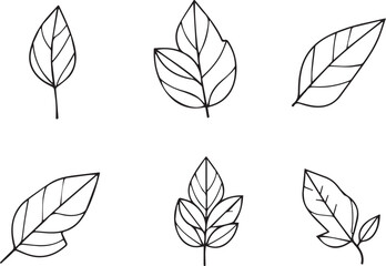 Obraz premium Set of leaves, flat silhouette. Hand drawn vector illustration