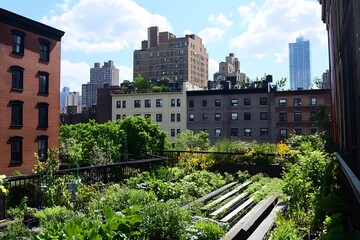 Fototapeta premium Modern Green Spaces with Plants Adorning Rooftops
