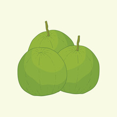 Guava Fruit Flat Design Cartoon Icon Illustration