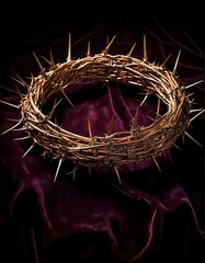 A visual contrast between soft dark velvet and the harsh crown of thorns.