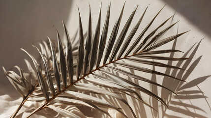 Obraz premium background with a single leaf shadow creating a serene natural vibe