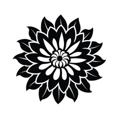 black and white illustration chrysanthemum flower