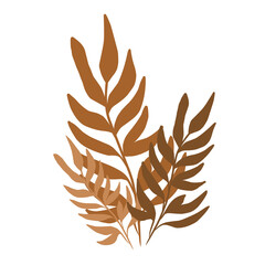laurel wreath vector illustration, leaf vector transparant