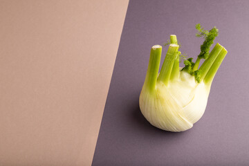 Fresh Fennel bulb on brown and gray pastel paper, side view, copy space