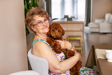 Smiling elderly woman cuddling miniature poodle. Grandmother with pet for adoption announcement. Adorable animal to celebrate grandmother's day