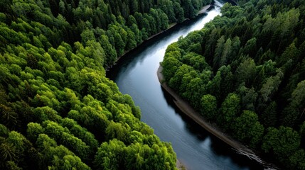 Fototapeta premium Aerial View of a Meandering River Flowing Through a Dense Green Forest in a Remote Wilderness Area
