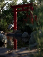 Serene Japanese Temple Garden with Red Torii Gate and White Crane by Tranquil Pond