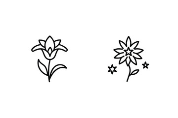 Minimalist Floral Line Art Featuring Two Flower Illustrations On White Background
