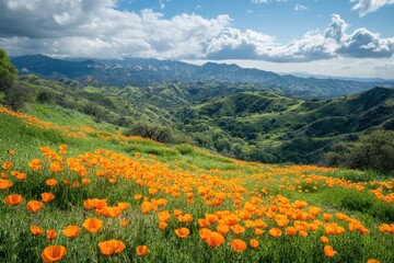 Obraz premium A stunning spring landscape showcasing colorful poppies thriving in the shadow of impressive mountain peaks for nature lovers and travel enthusiasts
