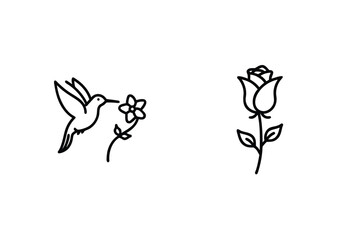 Minimalist Line Art Depicting Hummingbird With Flower And Rose Blossom Illustration © kajallata