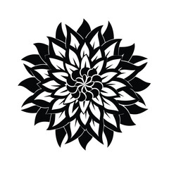 Black and White Illustration Chrysanthemum Flower for web and graphic design