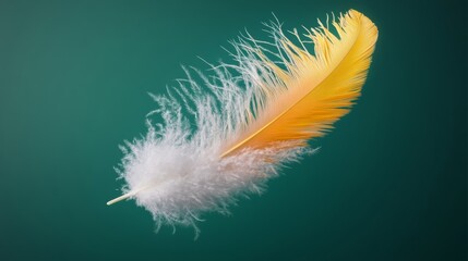 Obraz premium Feather is shown in a green background. The feather is white and yellow. The feather is in the air and he is floating