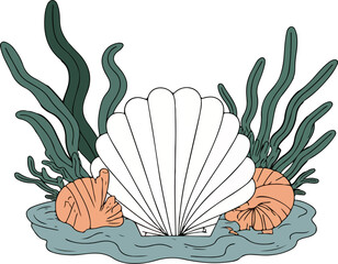 Seashells and Seaweed Illustration