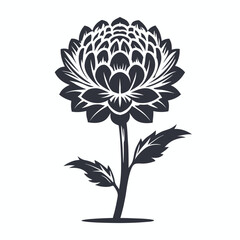 Stylish Dark Floral Design Blooming Flower with Stem & Leaves on White Backdrop