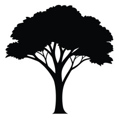Acacia Tree Silhouette Savannah Landscape Vector