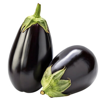 using the following stock image of "Eggplants with Stems isolated on transparent background", please provide me with 50 keywords for this image, making sure to use keywords tailored towards words that