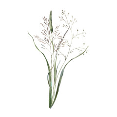Delicate watercolor illustration of wild herbs and dried wild plants, hand-painted in natural tones. Perfect for eco-branding, packaging, greeting cards, wedding designs and botanical prints.