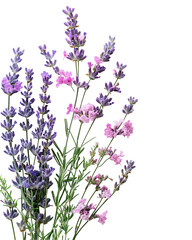 Naklejka premium Lavender and Pink Flowers Bouquet Dark Background,