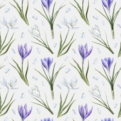 Purple and white crocuses with green leaves and white petals. Watercolor botanical seamless pattern, suitable for spring designs, wedding invitations, greeting cards, branding, packaging, textiles.