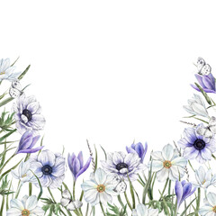 Fototapeta premium Crocuses in white and purple shades, anemones, wild herbs and flowers, light butterflies. Spring botanical watercolor frame, suitable for eco-branding, packaging, wedding designs, cards, banners.