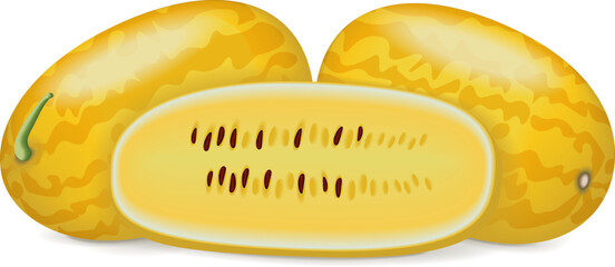Whole and half of Gold in Gold Watermelons. Citrullus lanatus. Fruits and vegetables. Isolated vector illustration.