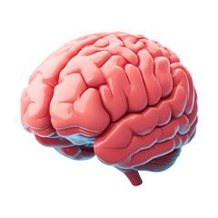 Highly detailed 3D render of a human brain isolated on transparent background