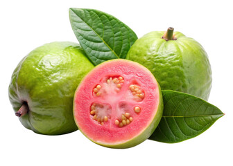 Psidium guajava isolated on white background