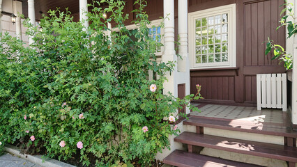 Flowering rose bush growing beside a classic wooden porch