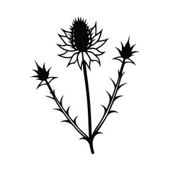 Black and white thistle illustration elegant flower silhouette design botanical graphic decorative wildflower plant