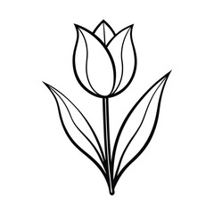 Elegant tulip flower outline vector illustration for coloring books and spring designs isolated on white background