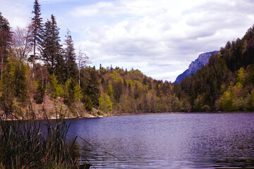 A serene lake in Tyrol nestled among lush forests and majestic mountains, reflecting the sky's soft hues in its tranquil waters