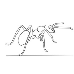 One continuous single drawing line art flat doodle ant, insect, animal, white, fauna. Isolated image hand draw contour on a white background
