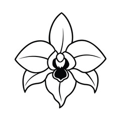 Elegant orchid flower vector illustration minimalist design perfect for coloring books and botanical themes