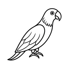 Black and white line art illustration of a lovebird bird vector drawing animal sketch